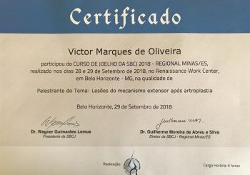 Curso de Joelho da SBCJ 2018- Regional Minas/ES